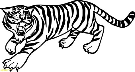 Siberian Tiger Coloring Page Free Printable Coloring Pages Baby Tigers Coloring Pages - Baby Tigers Coloring Pages