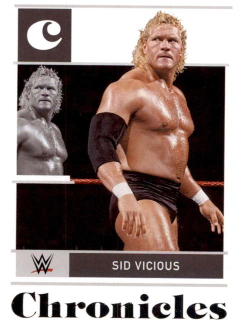 sid vicious wiki wwe