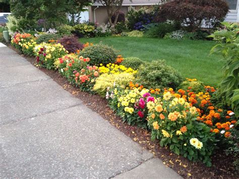 Download Sidewalk Flowers 