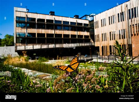 sidwell washington dc
