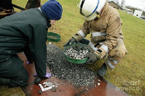 Sifting Through The Ashes