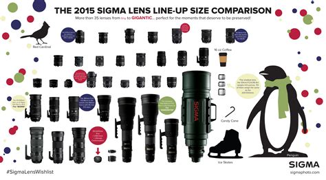 Read Online Sigma Lens User Guide 
