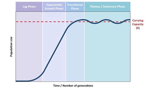 Sigmoid Growth