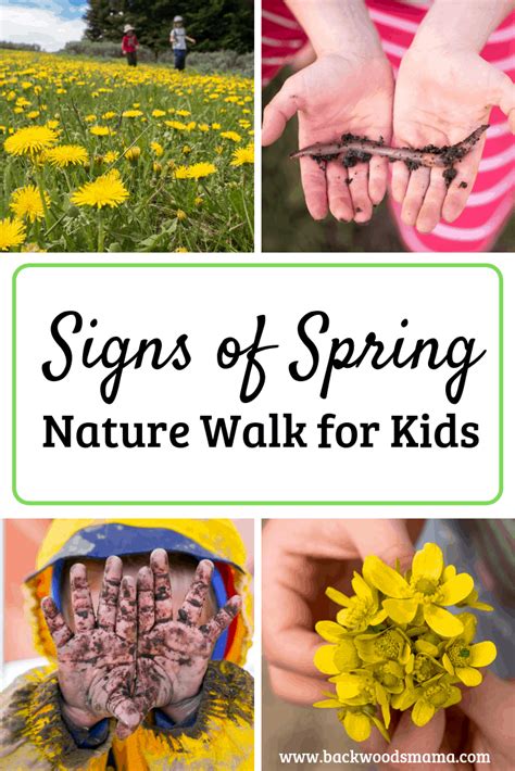 Signs Of Spring Nature Walk For Kids Free Nature Walk Observation Sheet - Nature Walk Observation Sheet