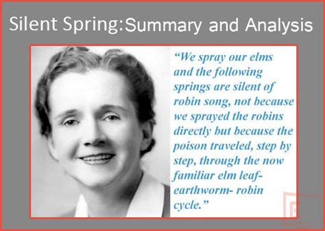 Silent Spring Summary