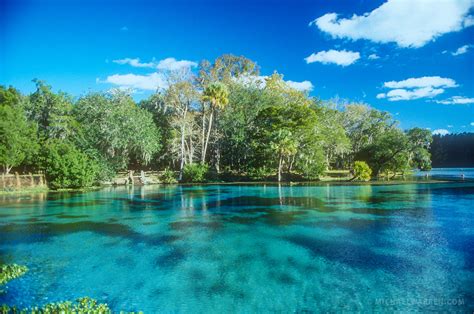 silver glen florida
