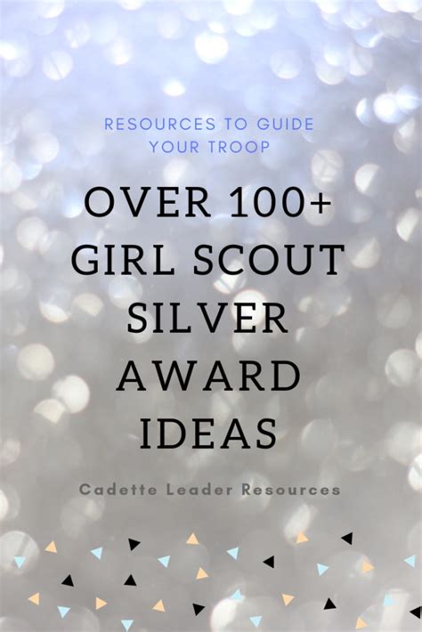 silver project ideas scouting web