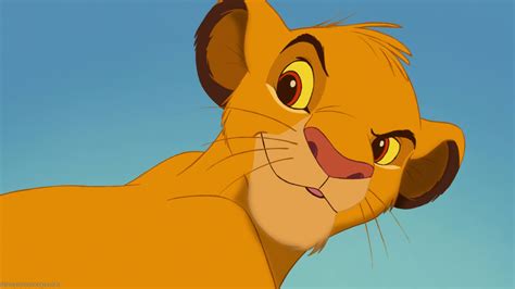 Simba The Lion