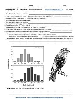 Download Simbio Finches And Evolution Answers 