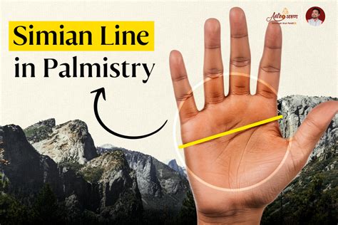 simian line | Nu c cc c im ny bn