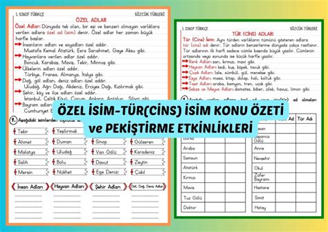 simler aynı zamanda kendi içlerinde özel isim ve cins isim olarak da ayrılabilmektedir.