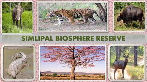Simlipal Bio Reserve