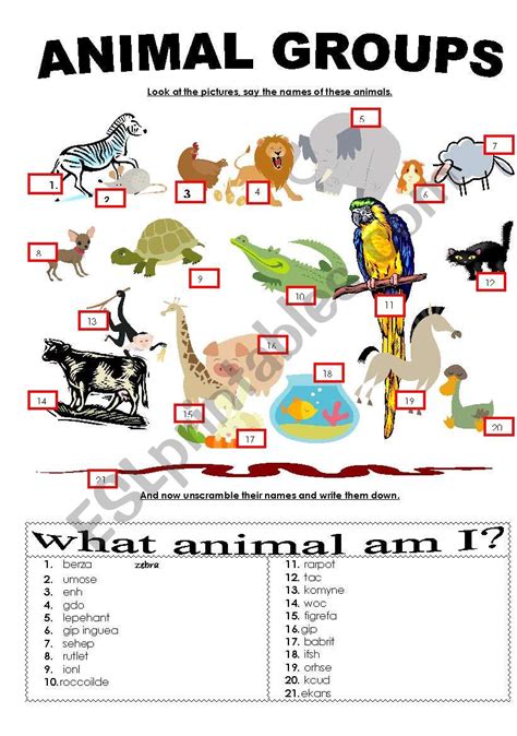 Simple Animals Worksheet Answers   14 Animal Research Worksheets Template Free Pdf At - Simple Animals Worksheet Answers
