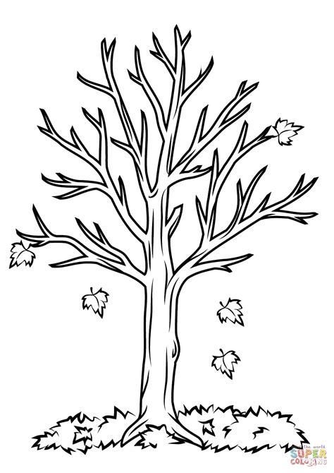 Simple Fall Tree Coloring Pages Fall Tree Color Pages - Fall Tree Color Pages