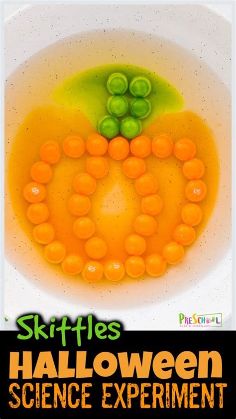 Simple Halloween Skittles Pumpkin Science Experiment Pumpkin Science Preschool - Pumpkin Science Preschool