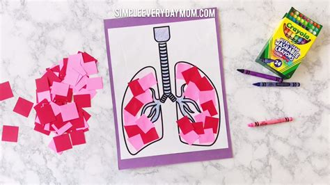 Simple Lung Craft For Preschoolers To Learn About Lungs Worksheet Kindergarten - Lungs Worksheet Kindergarten