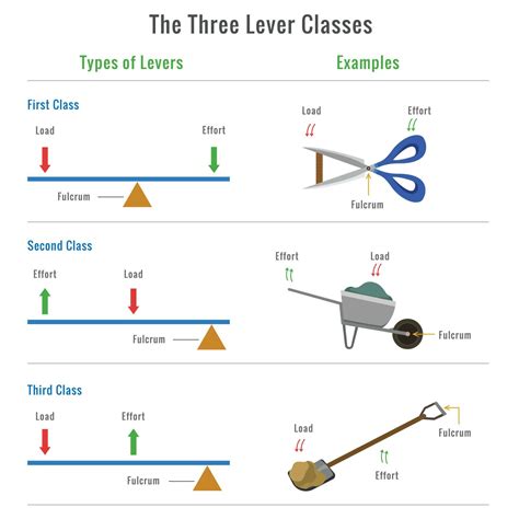 Simple Machines Levers Archives Types Of Levers Worksheet Physical Science - Types Of Levers Worksheet Physical Science