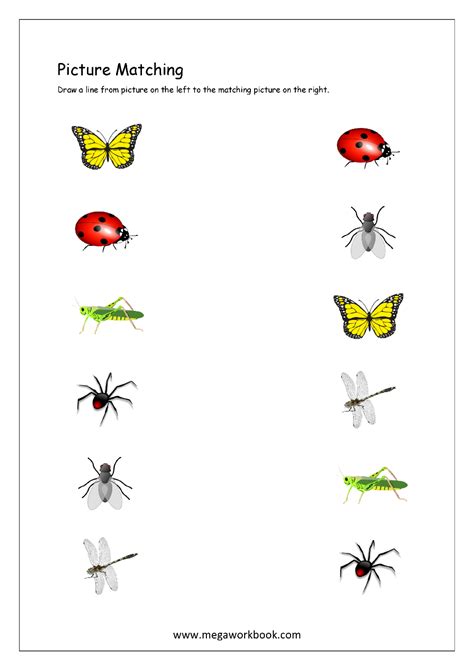 Simple Matching Worksheets For Preschoolers Planes Amp Balloons Matching Activity For Preschoolers - Matching Activity For Preschoolers