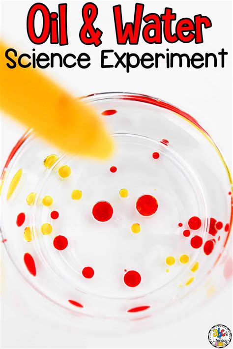 Simple Science Experiment Oil Water And Food Coloring Science Experiments With Food Coloring - Science Experiments With Food Coloring