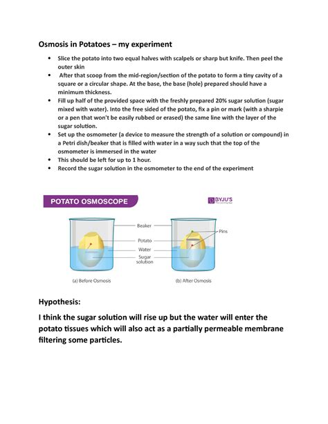 Simple Science Experiment Osmosis With Potato Slices Science Experiments With Potatoes - Science Experiments With Potatoes