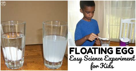 Simple Science Experiments Easy Floating Egg Experiment For Floating Science Experiments - Floating Science Experiments