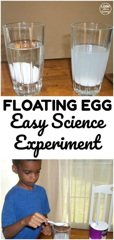 Simple Science Experiments Floating Egg Experiment Floating Egg Science Experiment - Floating Egg Science Experiment