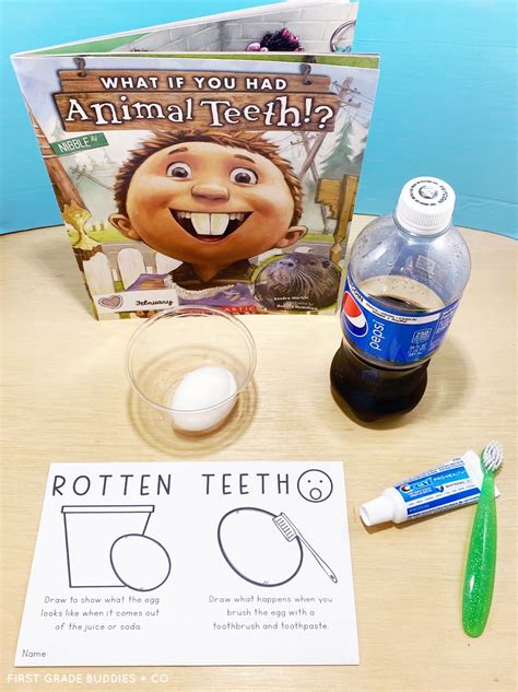 Simple Science Rotten Teeth First Grade Buddies Teeth Science Experiment - Teeth Science Experiment
