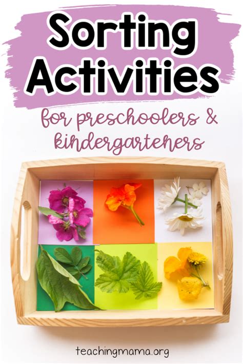 Simple Sorting Activities For Preschoolers And Kindergarteners Sorting Kindergarten - Sorting Kindergarten