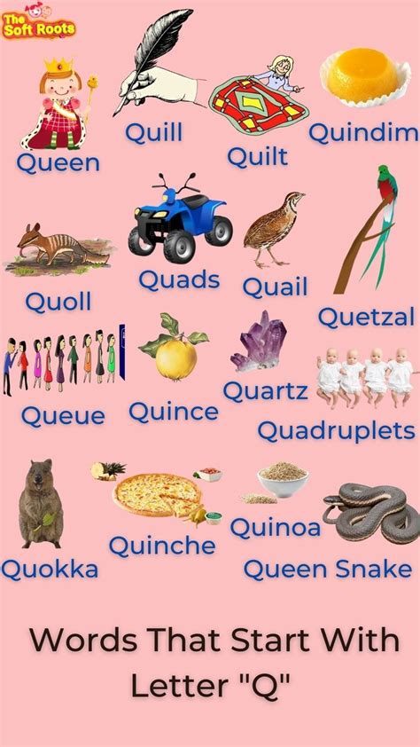 Simple Words That Start With Q   Positive Words That Start With Q And Their - Simple Words That Start With Q