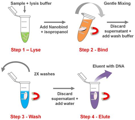 Download Simple Salting Out Method For Genomic Dna Extraction 