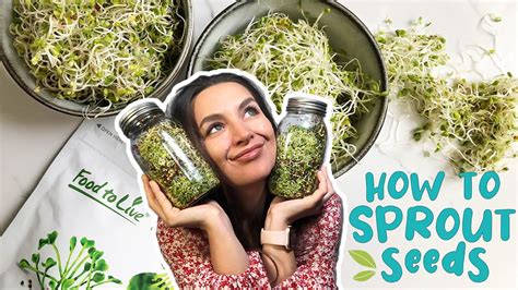 simple.sprout