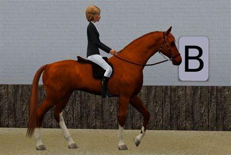 sims 3 dressage markers s