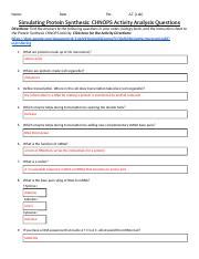 simulating protein synthesis chnops answers