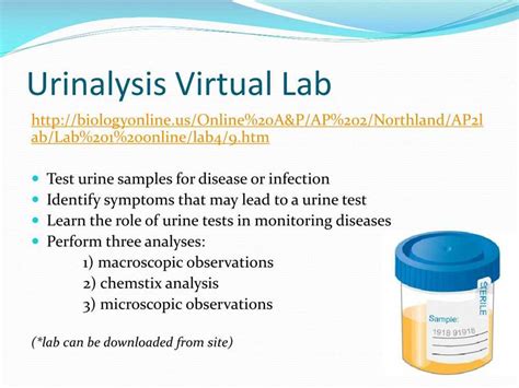 Simulating Urinalysis Lab Activity Answers