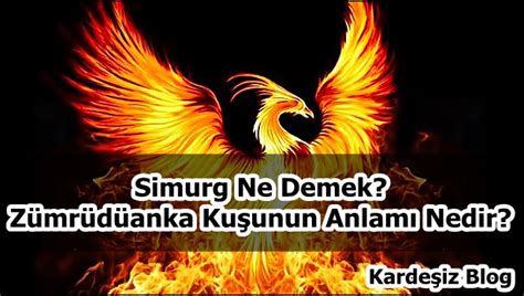 Simurg Ne Demek