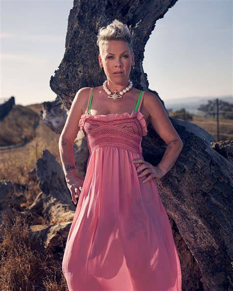 singer pink nude
