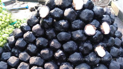 Singhara Fruit Tree