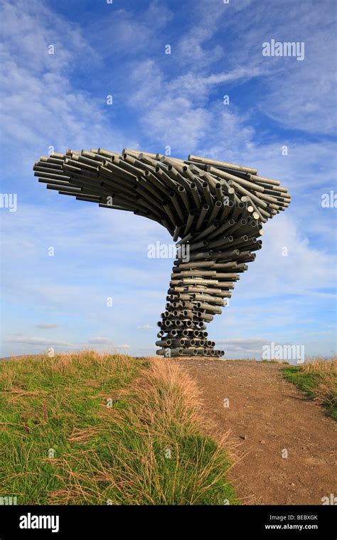Singing Ringing Tree Sculpture