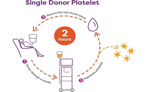Single Donor Platelet