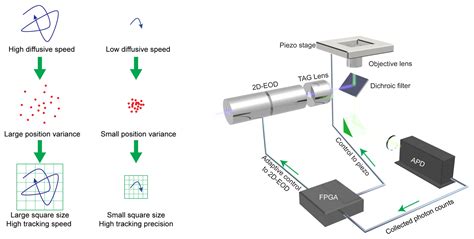 Single Particle Tracking Based Reaction Progress Kinetic