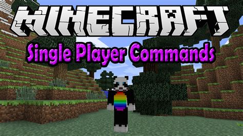 Single Player Commands