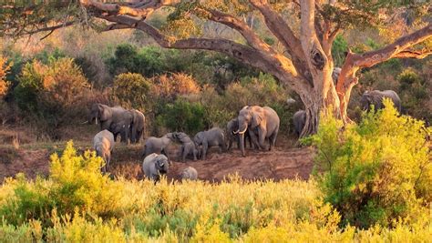 single reizen zuid afrika
