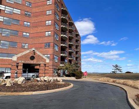 singles in seal harbor