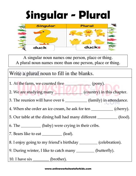Singular And Plural Exercises Worksheet   Beginner Singular And Plural Sentences Worksheets With Answers - Singular And Plural Exercises Worksheet
