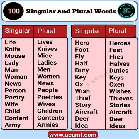 Singular And Plural Form