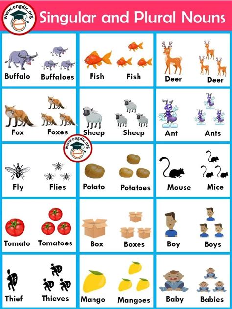 Singular And Plural Nouns For Kids English Grammar Singular And Plural For Grade 1 - Singular And Plural For Grade 1