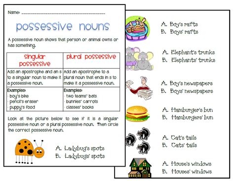 Singular And Plural Possessive Nouns With Apostrophes Worksheets Plural Possessive Nouns Worksheet - Plural Possessive Nouns Worksheet
