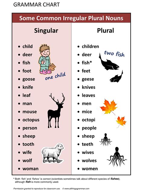 Singular Plural And Irregular Nouns Third Grade English 3rd Grade Plurals Worksheet - 3rd Grade Plurals Worksheet