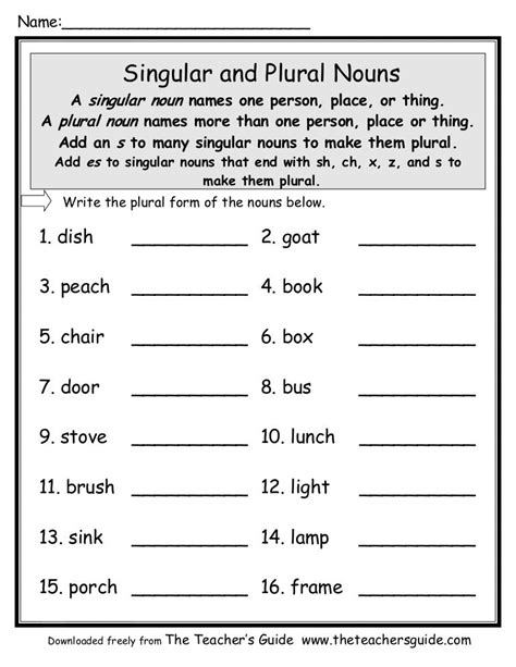 Singular Plural Nouns Worksheet   Printable Plural Nouns Worksheets For Kids Tree Valley - Singular Plural Nouns Worksheet