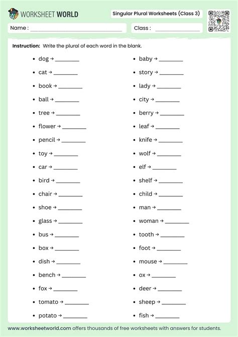 Singular Plural Worksheet For Class 5